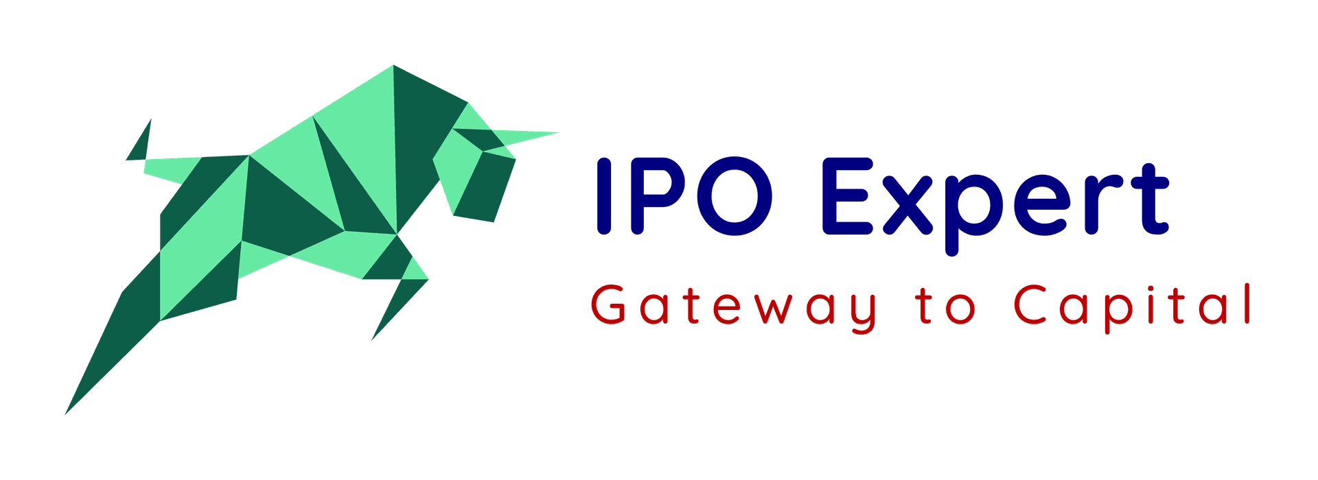 IPO EXPERT logo